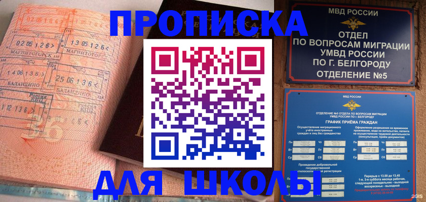 прописка иностранных граждан в Новозыбкове